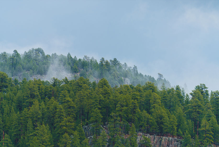 20251107-NDN--FTP_-IMAGE-GALLERY1