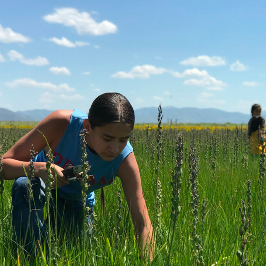 Climate Resilience