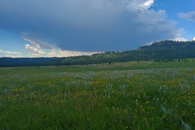 Pe’ Sla Needs Our Protection: Help Us Save this Sacred Site from Illegal Drilling