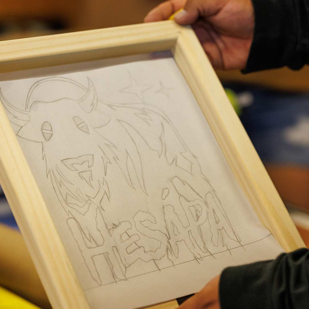 organizing-campaigns-protect-the-he-sapa-landing